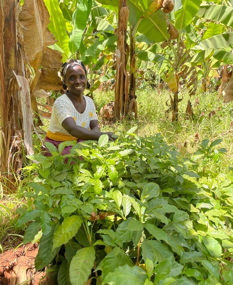 Eunice vokser sin lille kaffeforretning