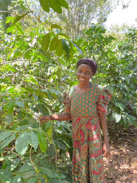 Rosaria – En stolt kaffebonde med en lysere fremtid